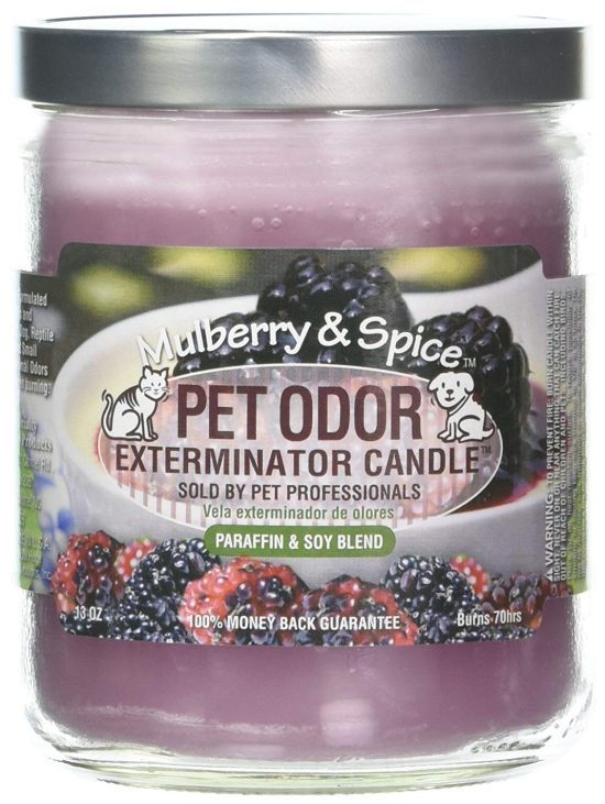 Pet Odor Exterminator Candle Mulberry Spice
