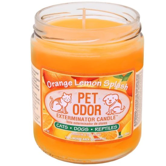 Pet Odor Exterminator Candle ORANGE SPLASH
