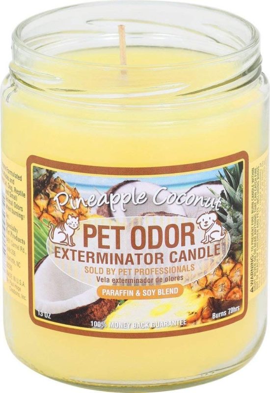 Pet Odor Exterminator Candle PINEAPPLE-COCONUT
