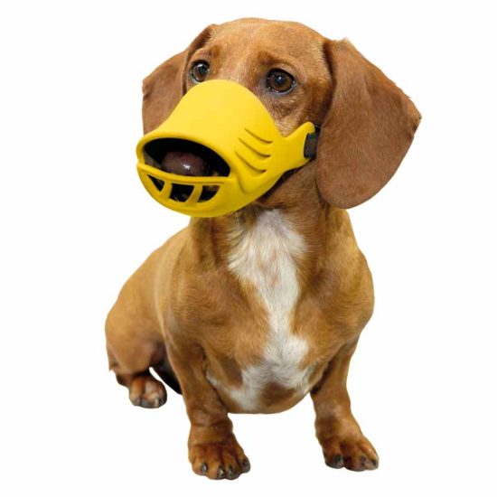 Muzzles