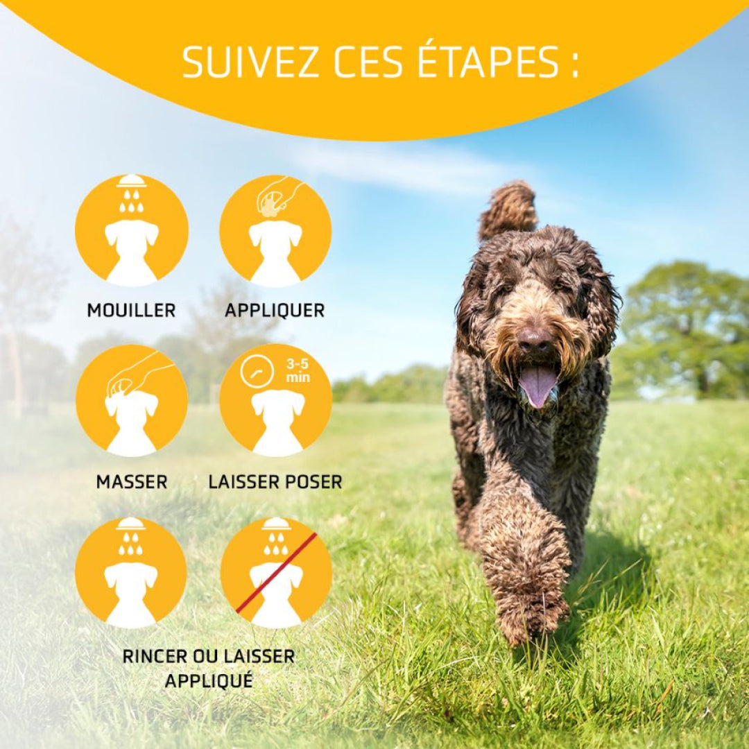 Artero Conditionneur Ikon Vital 5L