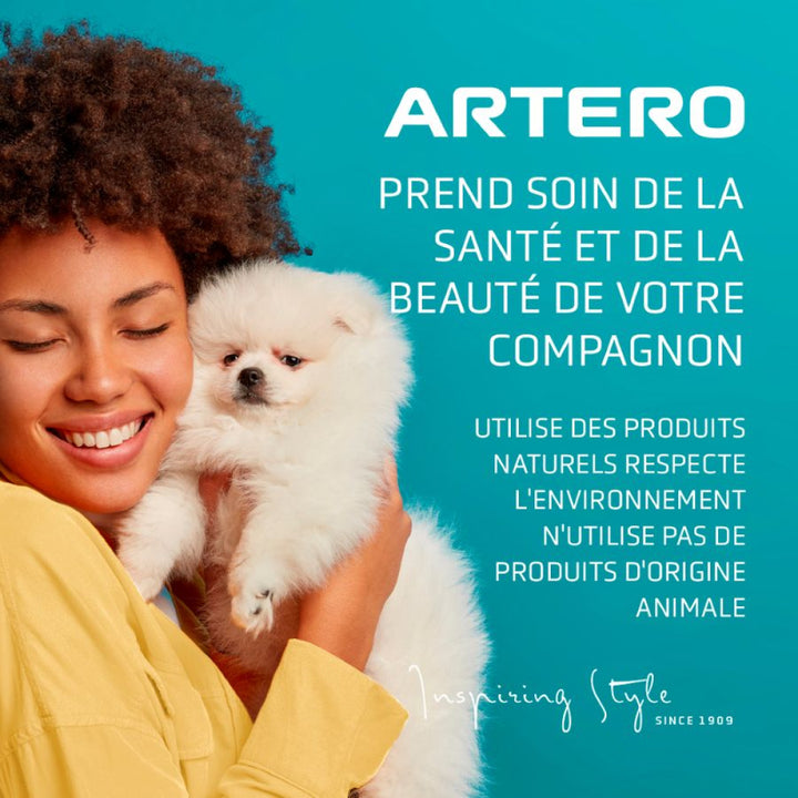 Artero Static Control 300 ml