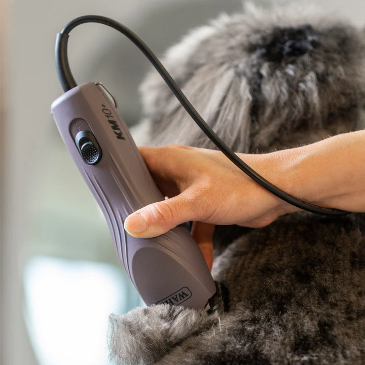 Tondeuse km10 Wahl  Avec Fil