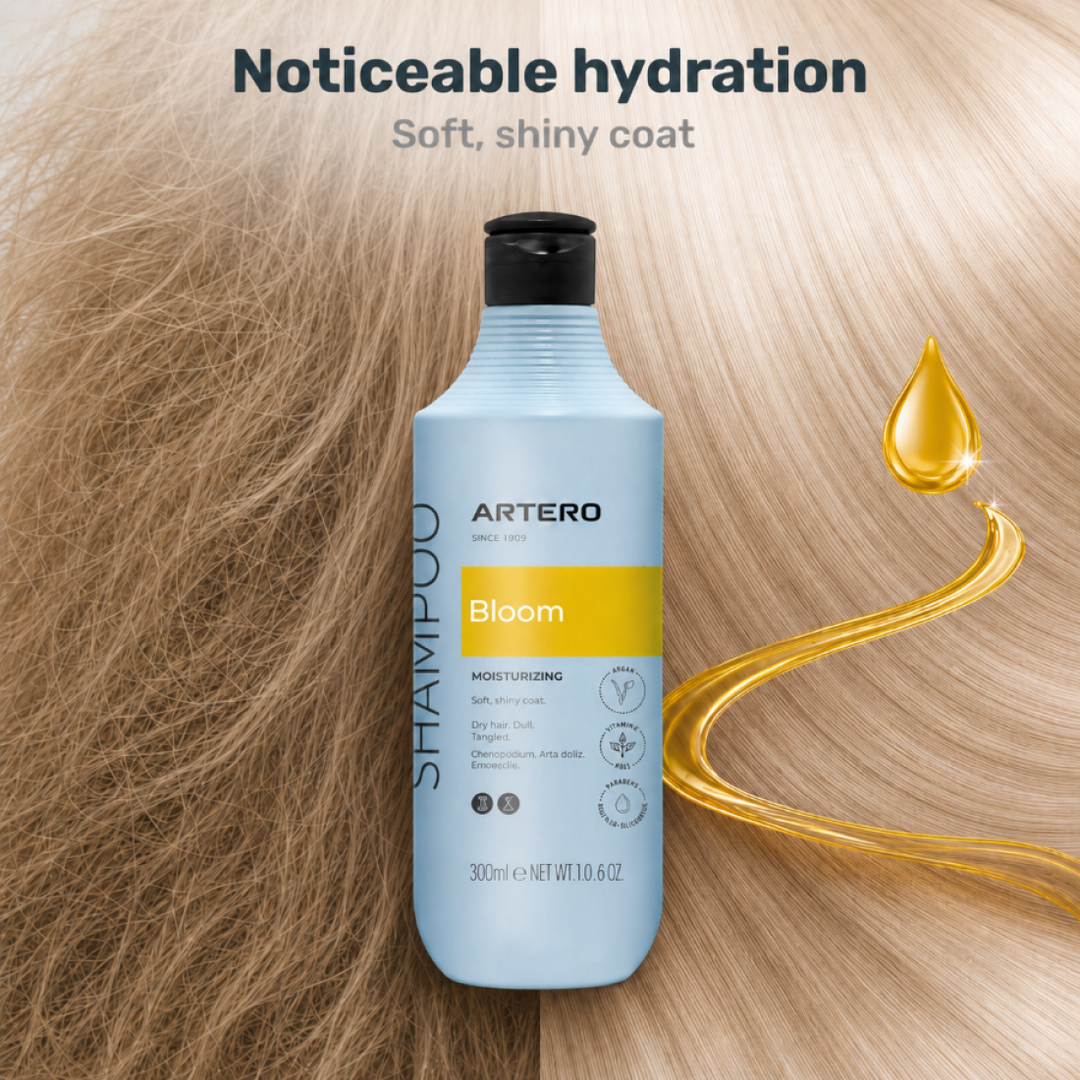 Artero Shampooing Bloom a L' Huile d' Argan