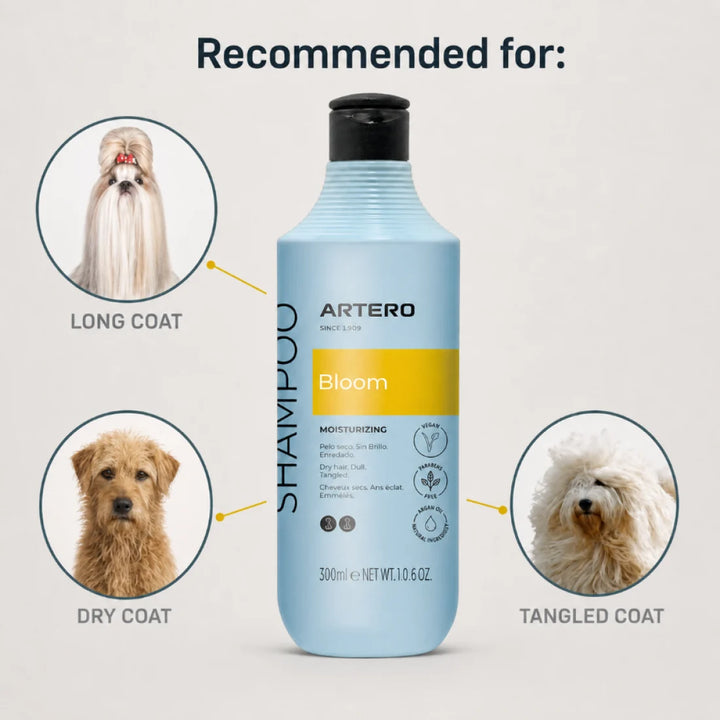 Artero Shampooing Bloom a L' Huile d' Argan