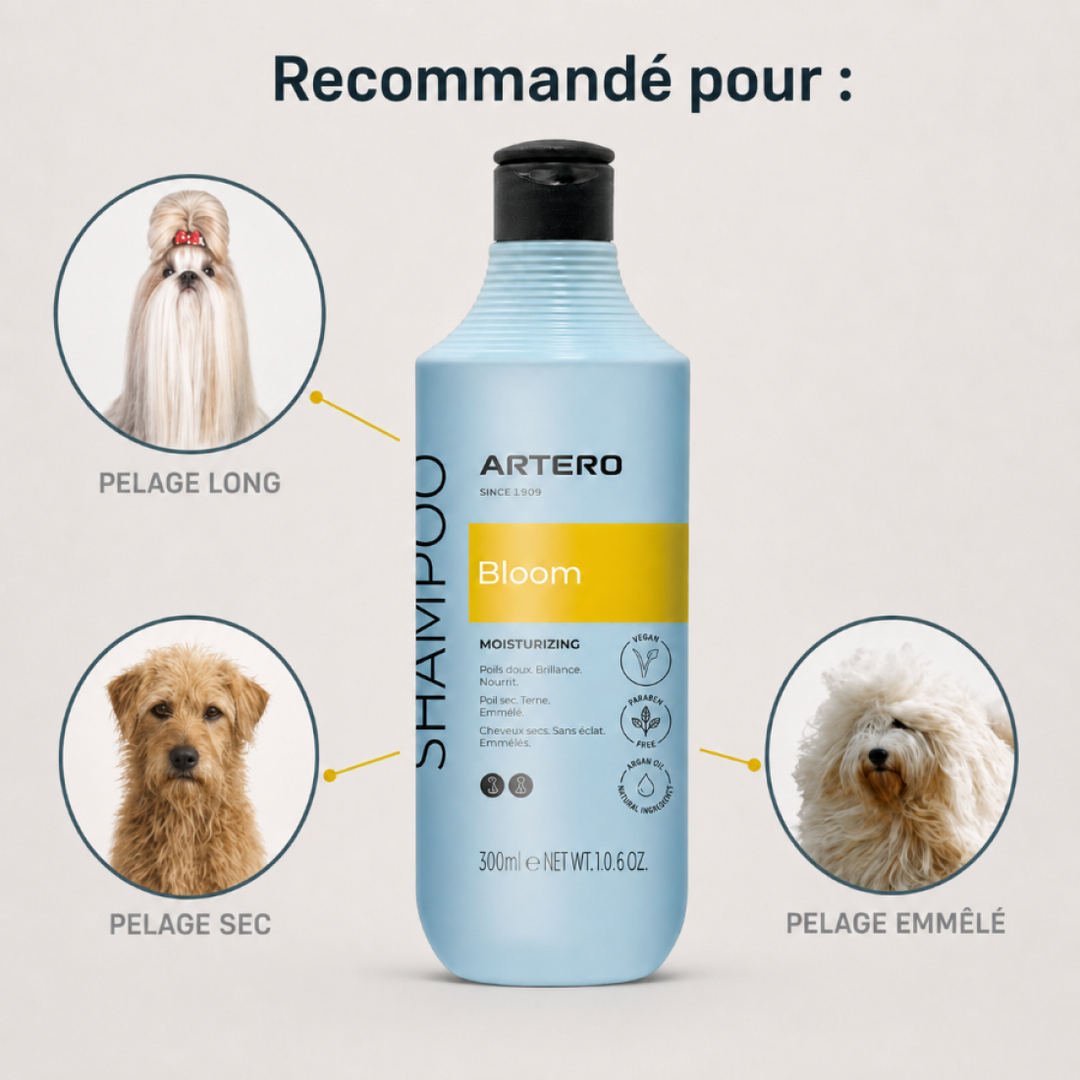 Artero Shampooing Bloom a L' Huile d' Argan