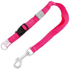 Licou 5.8'' groomer Helper