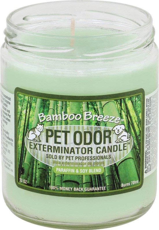 Chandelle Pet odor exterminateur Bambou