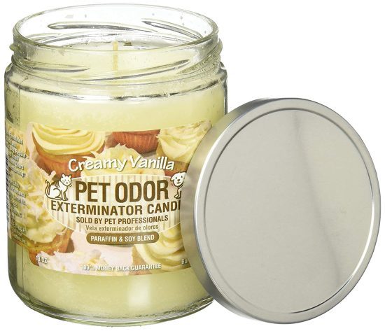 Chandelle Pet odor exterminateur Vanille Crémeuse